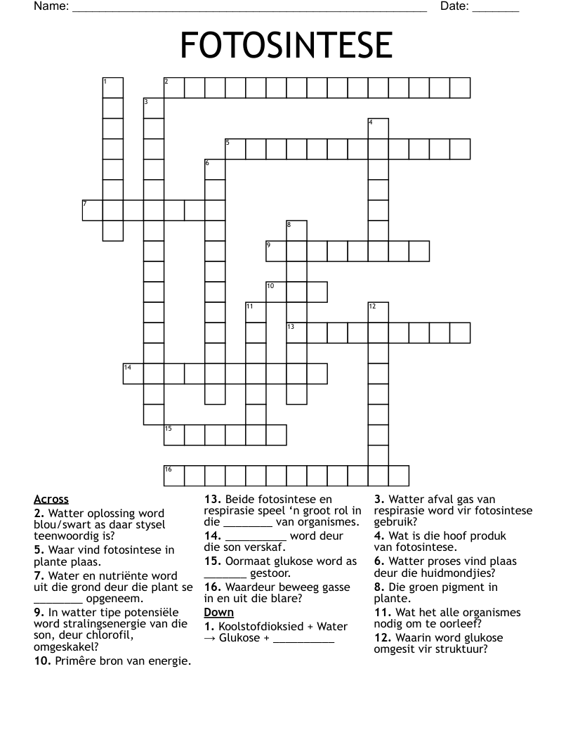 FOTOSINTESE Crossword