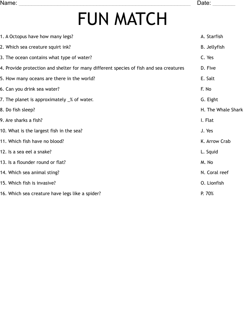 FUN MATCH Worksheet
