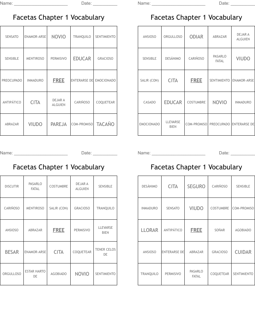 Facetas Chapter 1 Vocabulary Bingo Cards