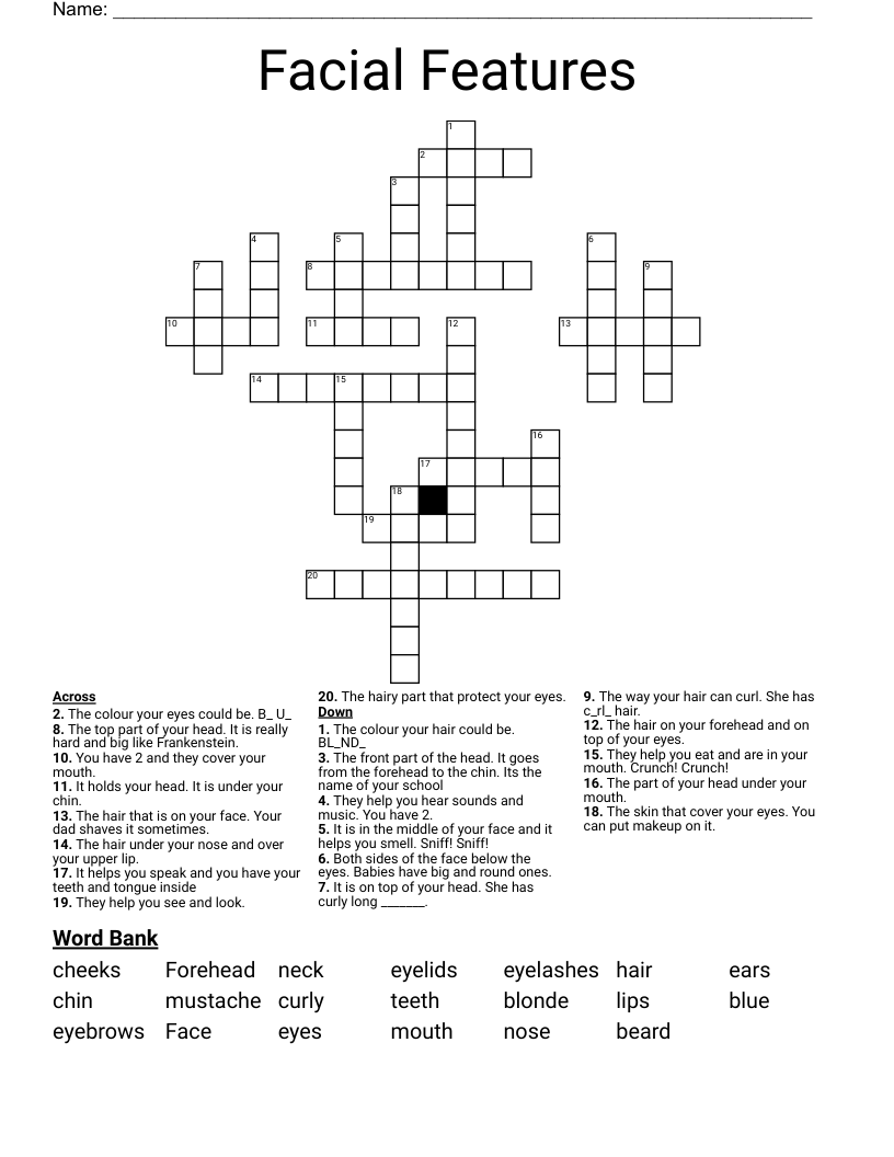 Facial Features Crossword