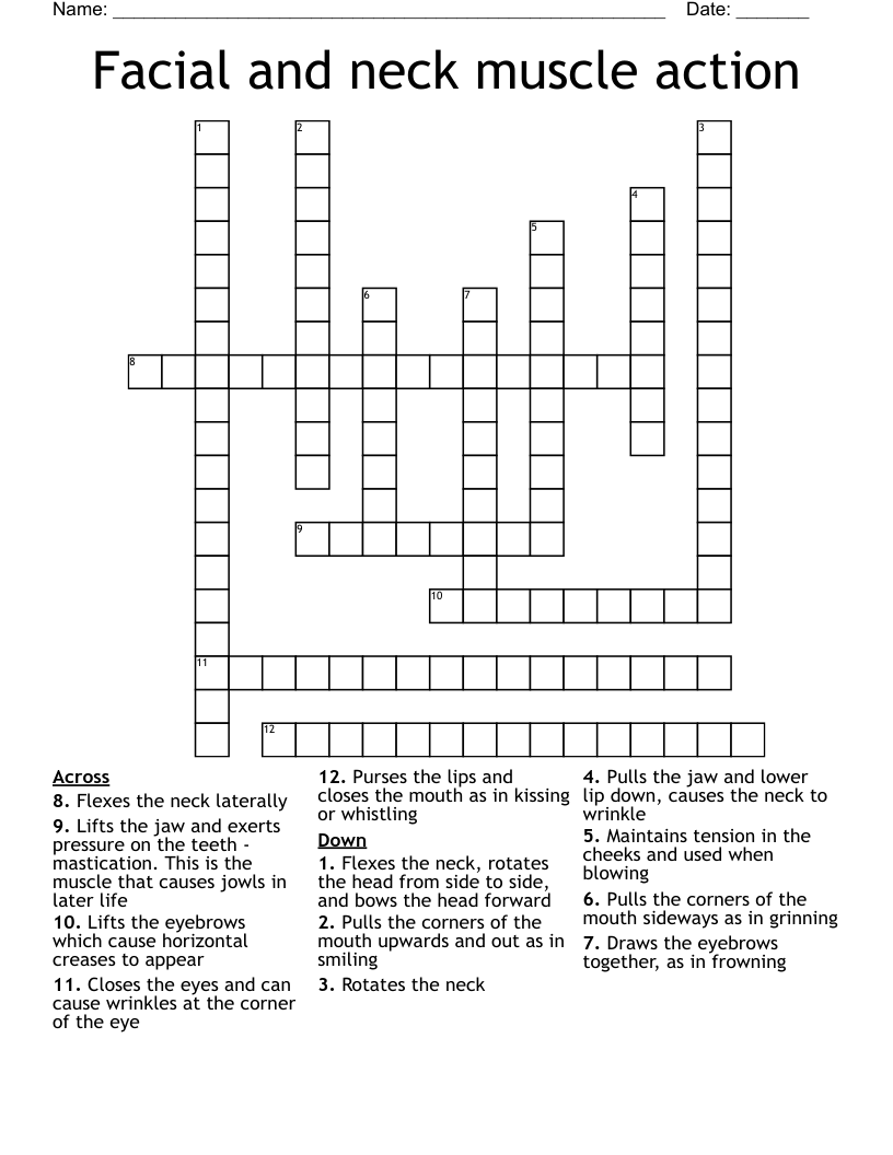 Facial and neck muscle action Crossword