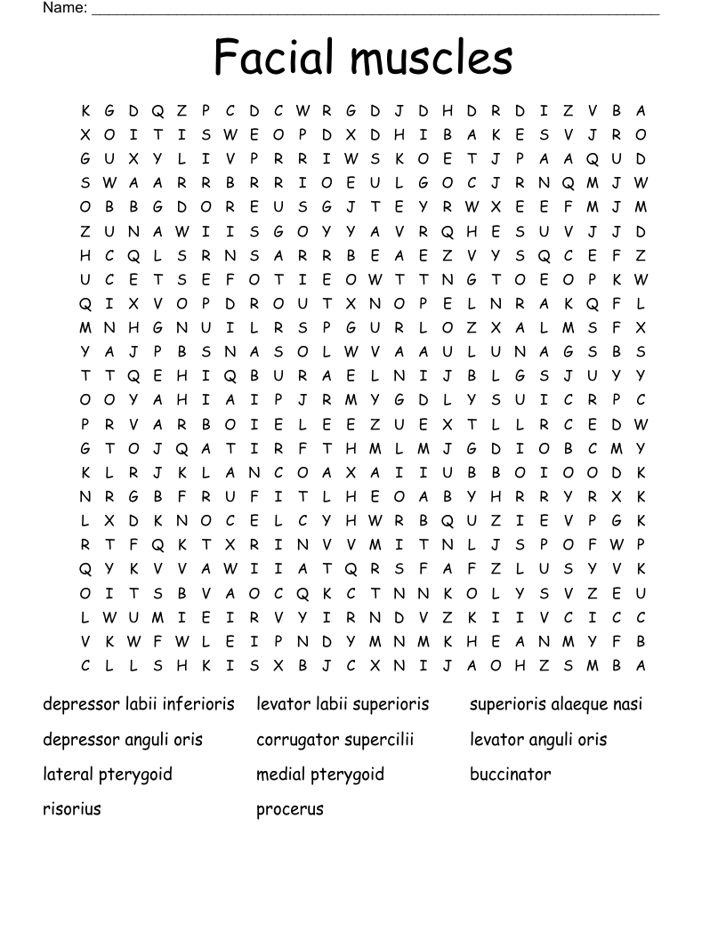 Facial muscles Word Search
