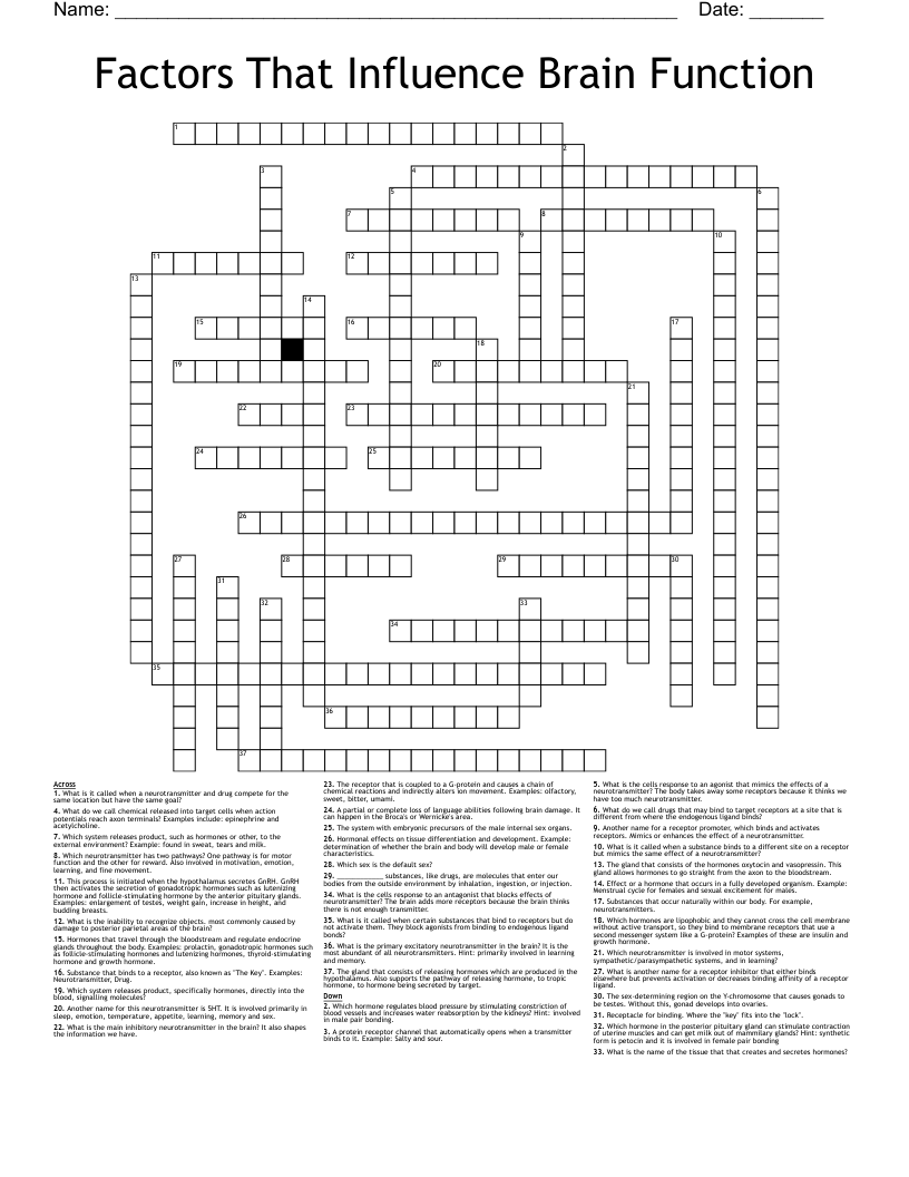 Factors That Influence Brain Function Crossword