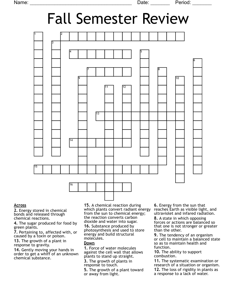 Fall Semester Review Crossword