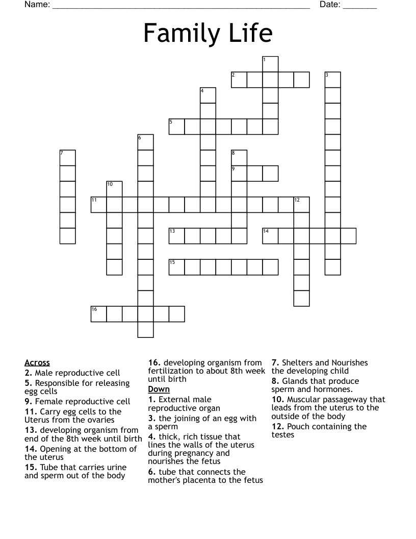 Family Life Crossword