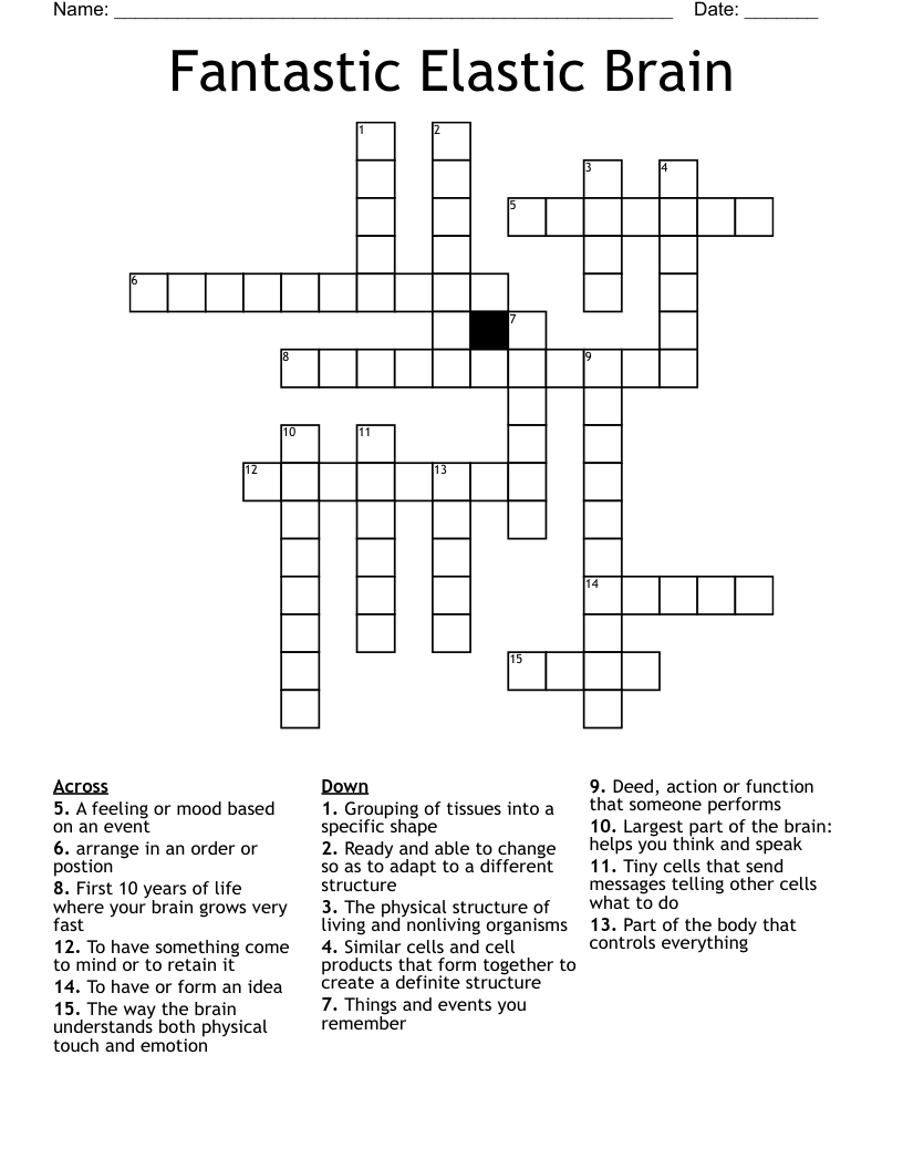 Fantastic Elastic Brain Crossword