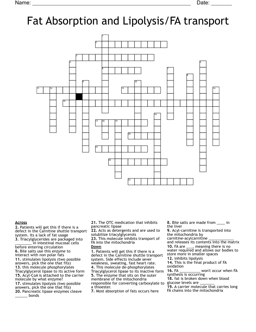 Fat Absorption and Lipolysis/FA transport Crossword