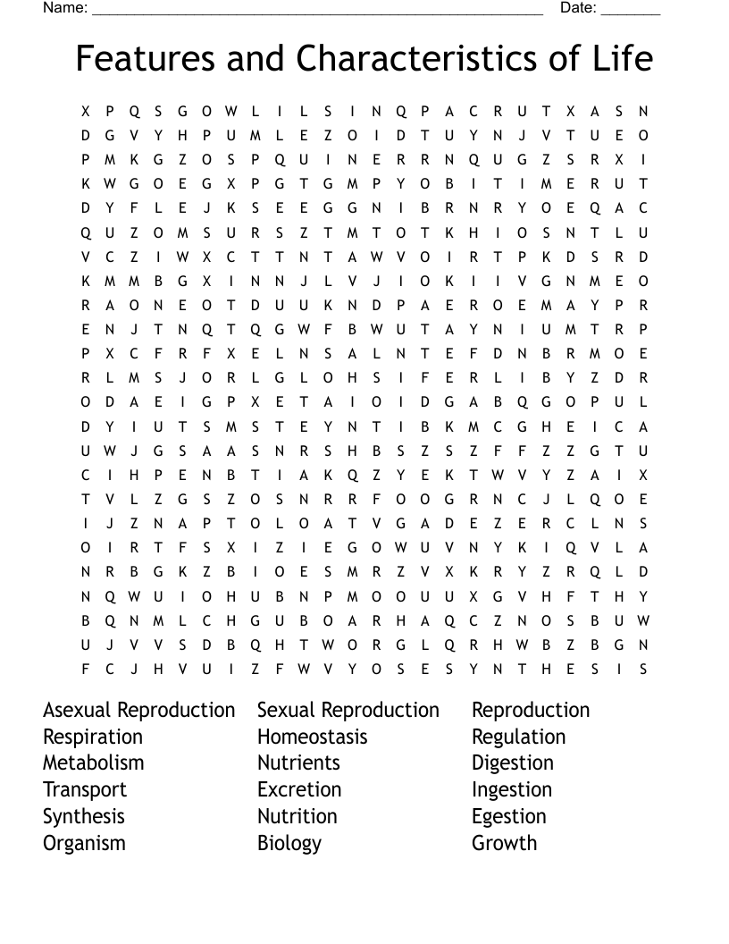 Features and Characteristics of Life Word Search