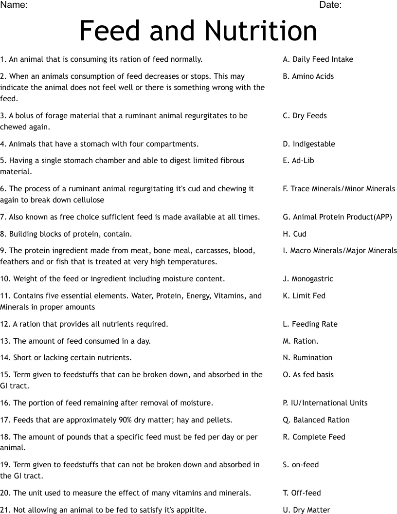 Feed and Nutrition  Worksheet