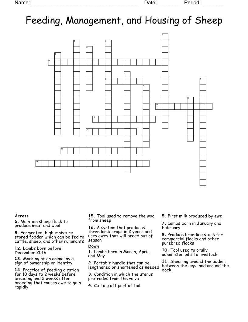 Feeding, Management, and Housing of Sheep Crossword