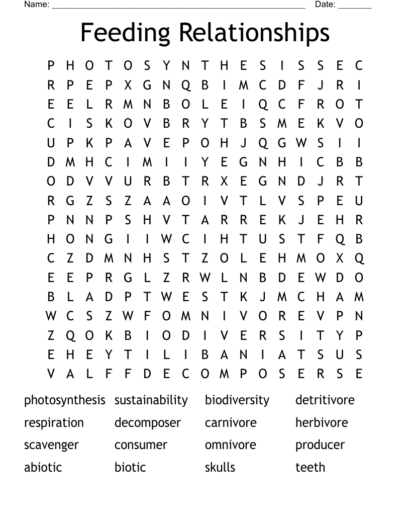 Feeding Relationships Word Search