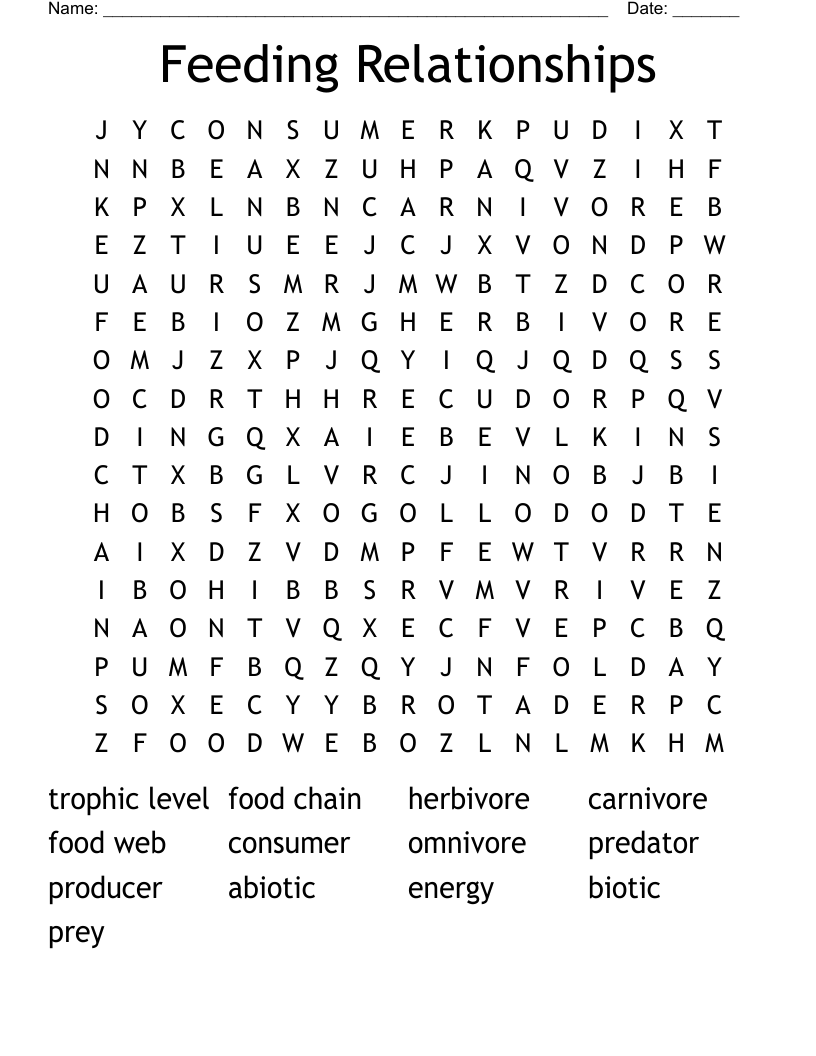 Feeding Relationships Word Search