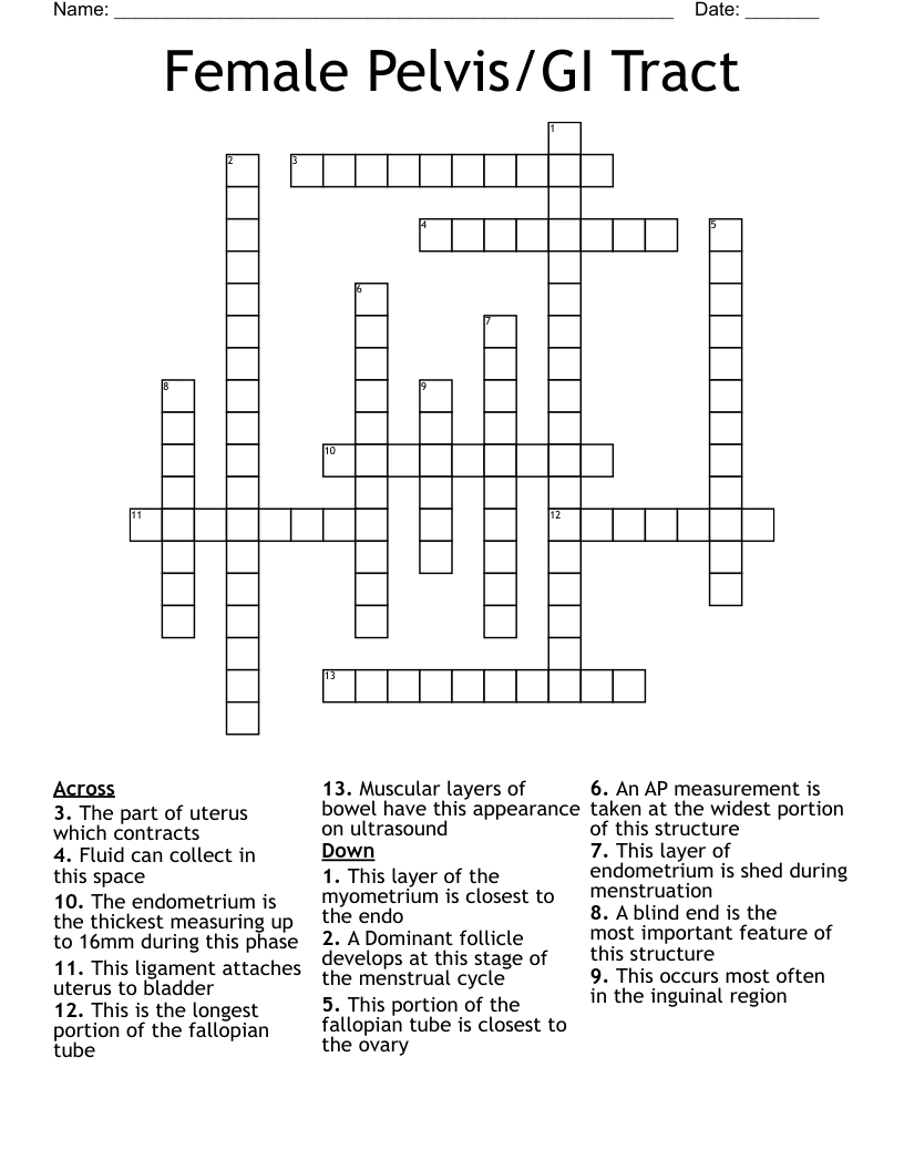 Female Pelvis/GI Tract  Crossword