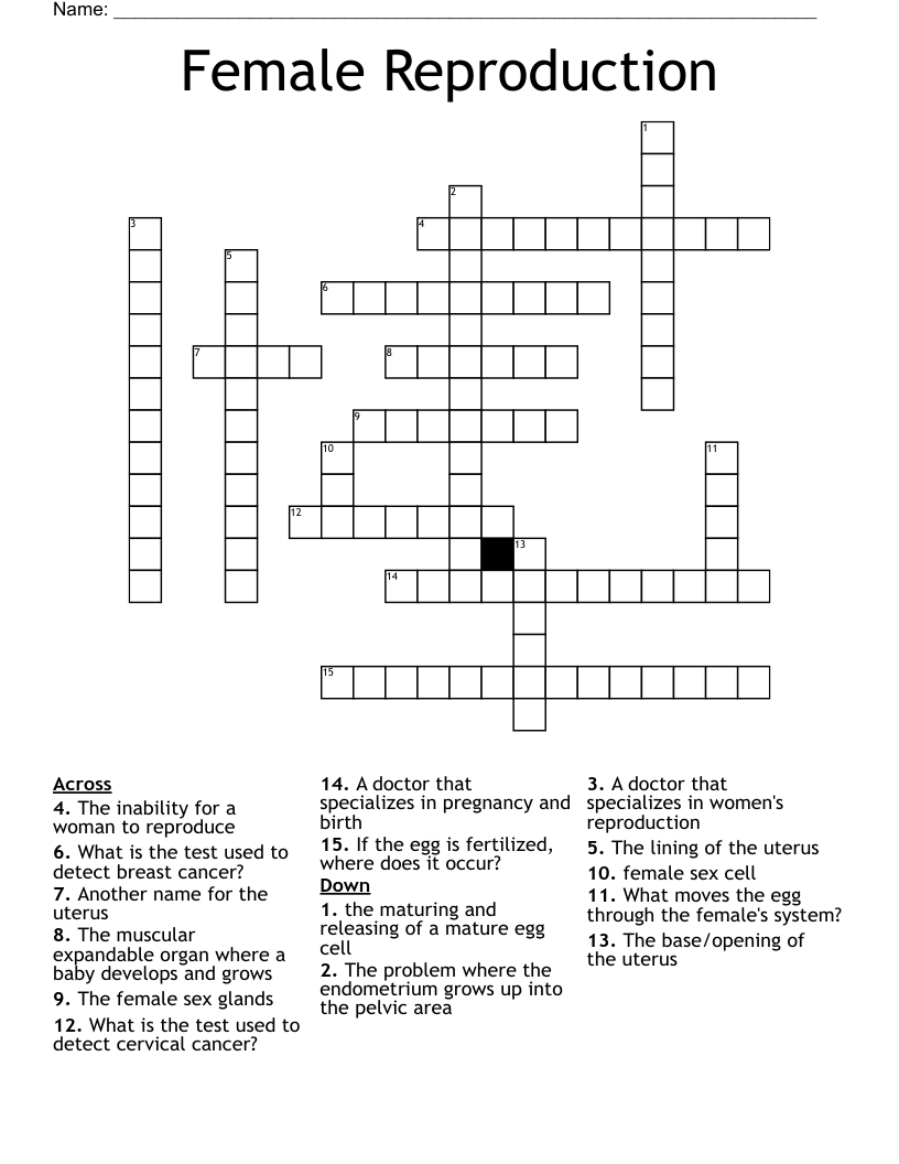 Female Reproduction Crossword