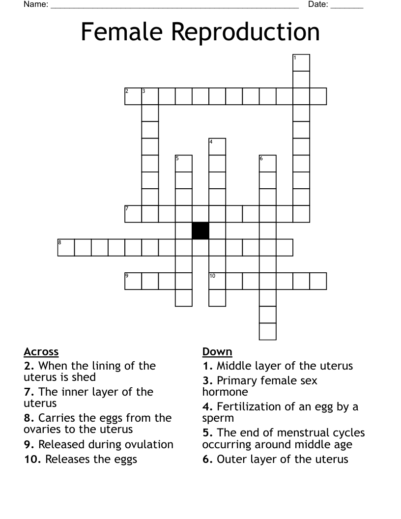 Female Reproduction Crossword