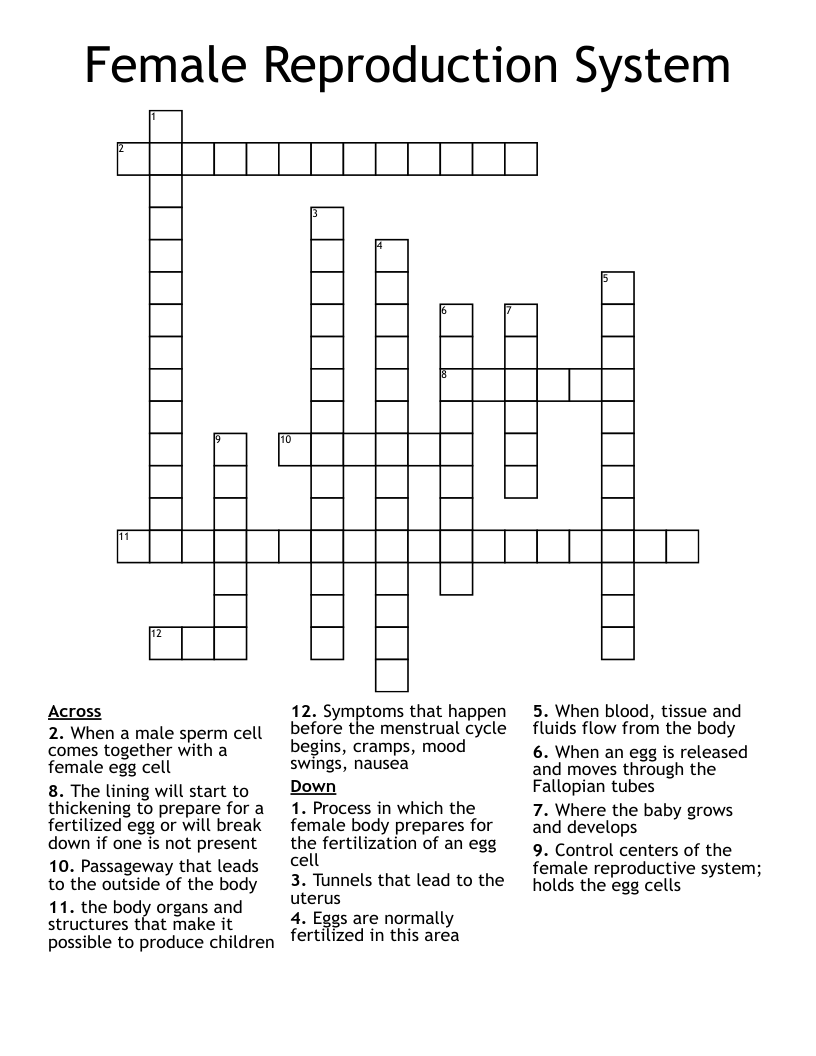 Female Reproduction System Crossword