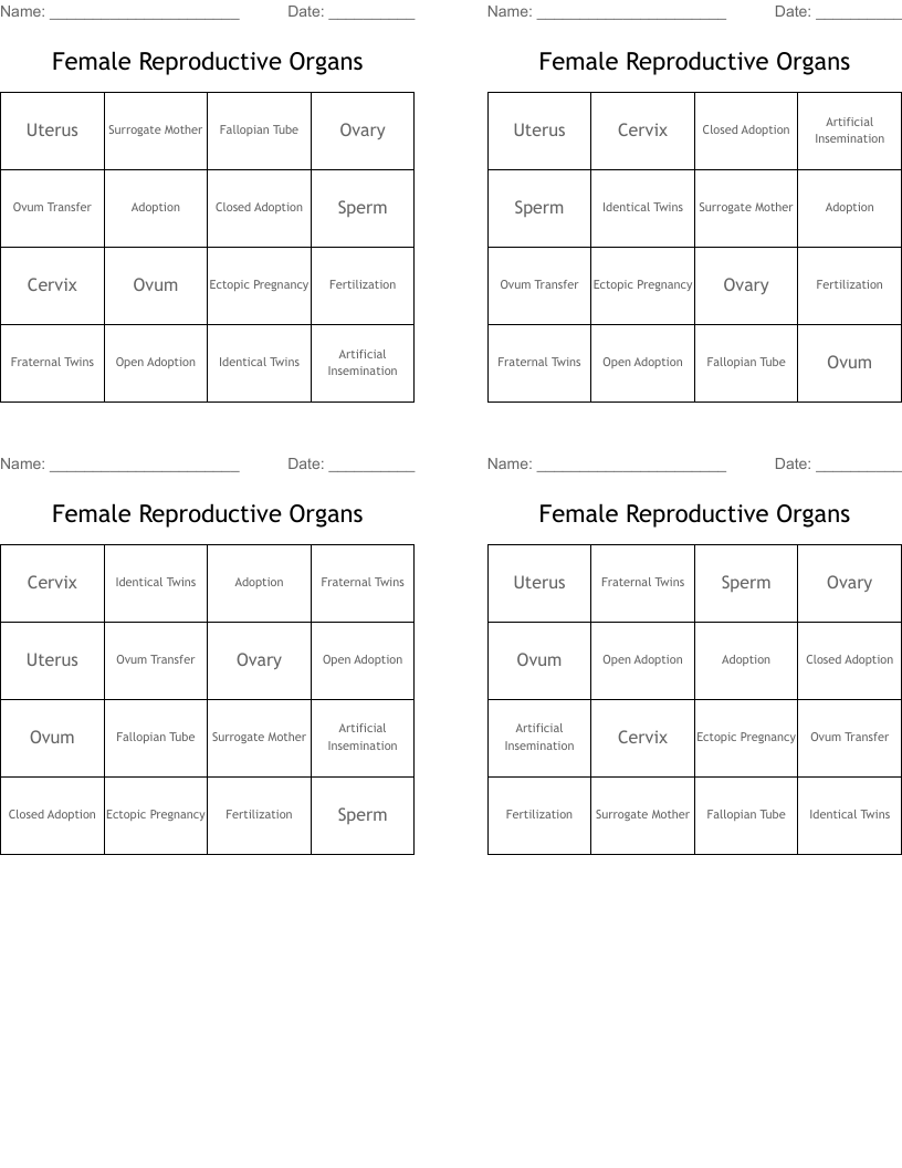 Female Reproductive Organs Bingo Cards