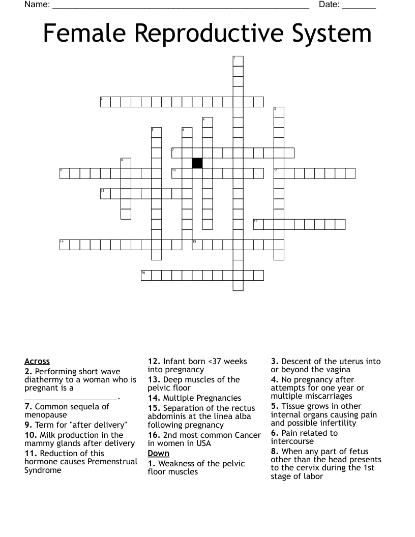 Female Reproductive System Crossword