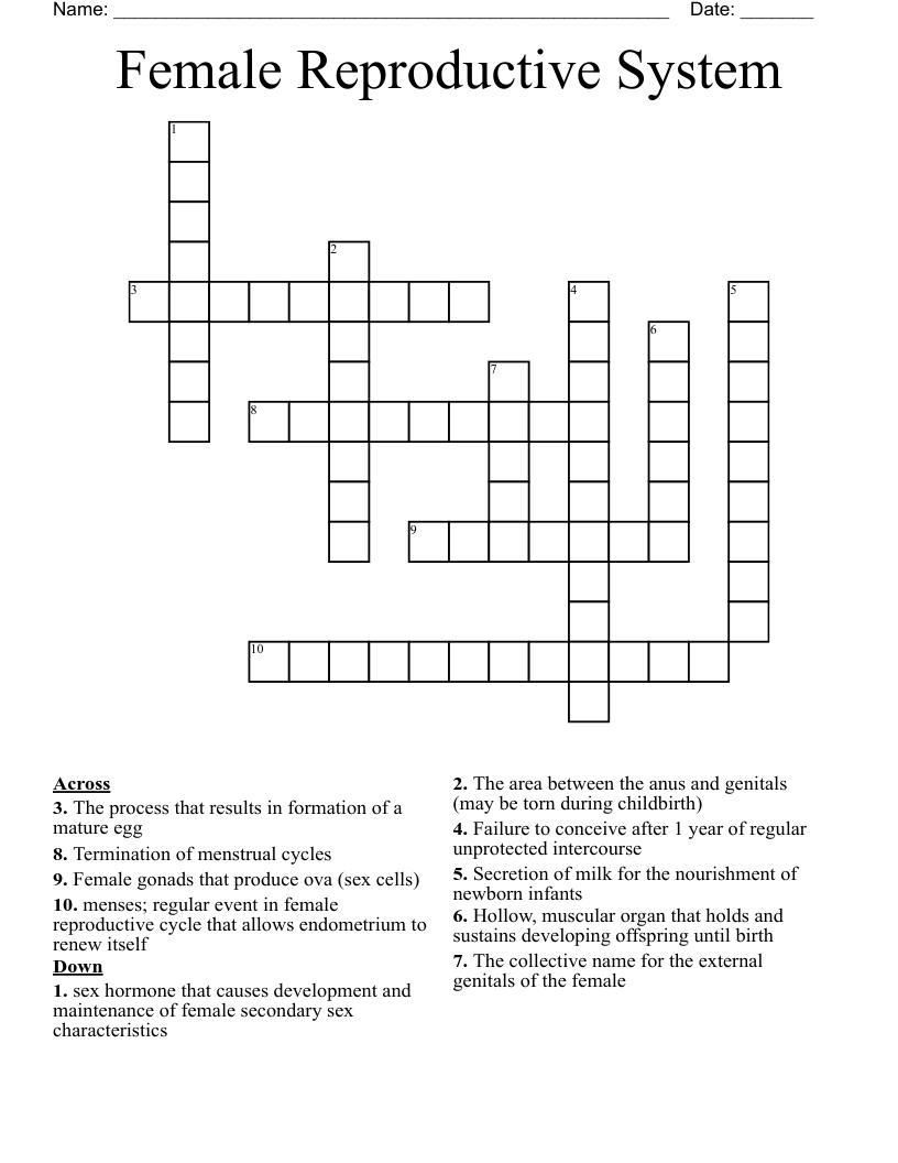 Female Reproductive System Crossword