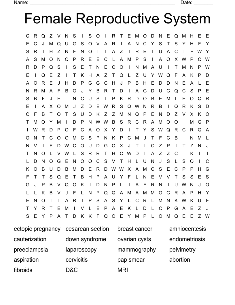 Female Reproductive System Word Search