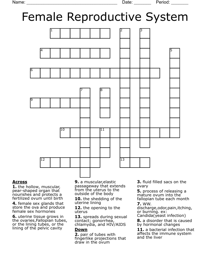 Female Reproductive System Crossword