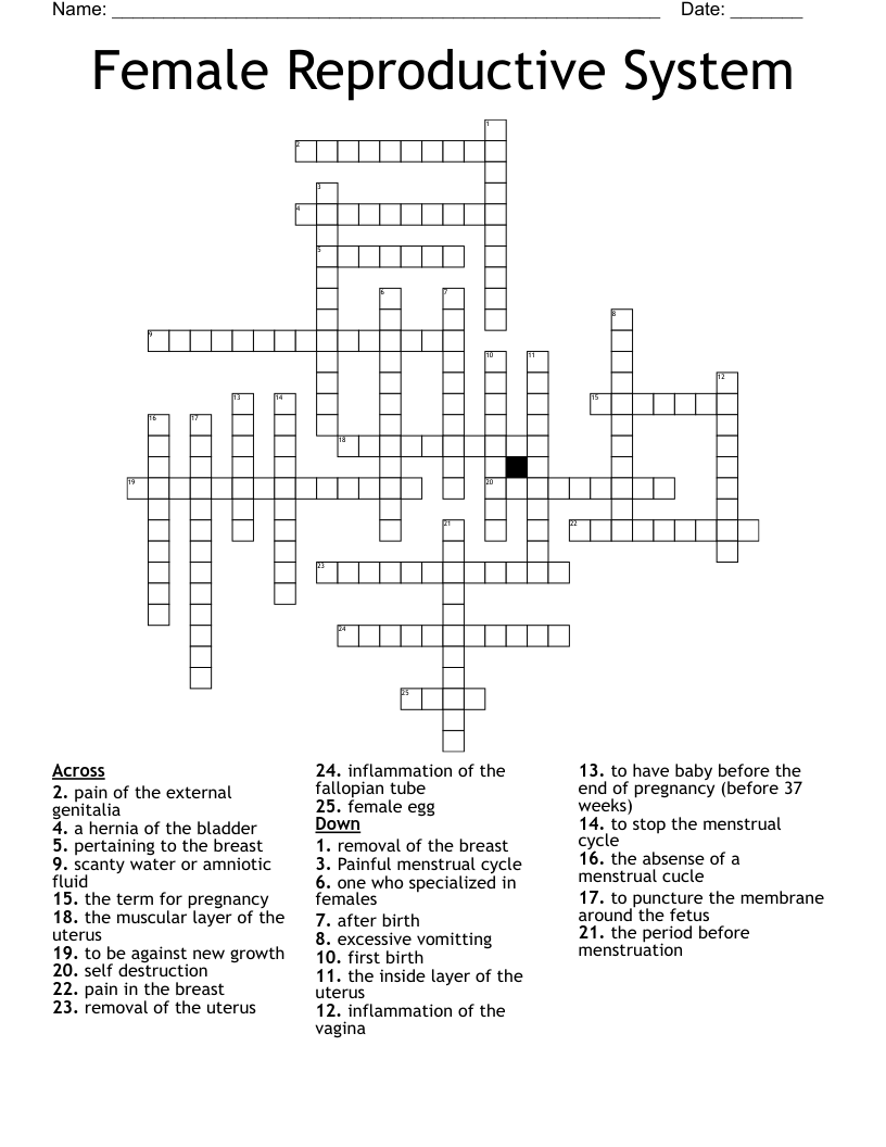 Female Reproductive System Crossword