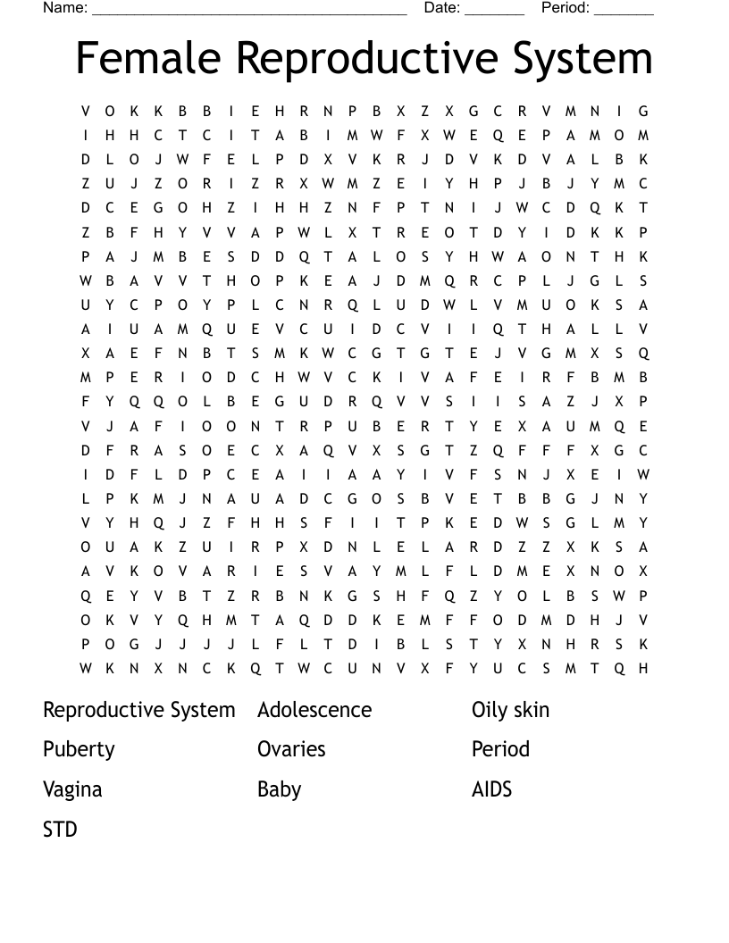 Female Reproductive System Word Search