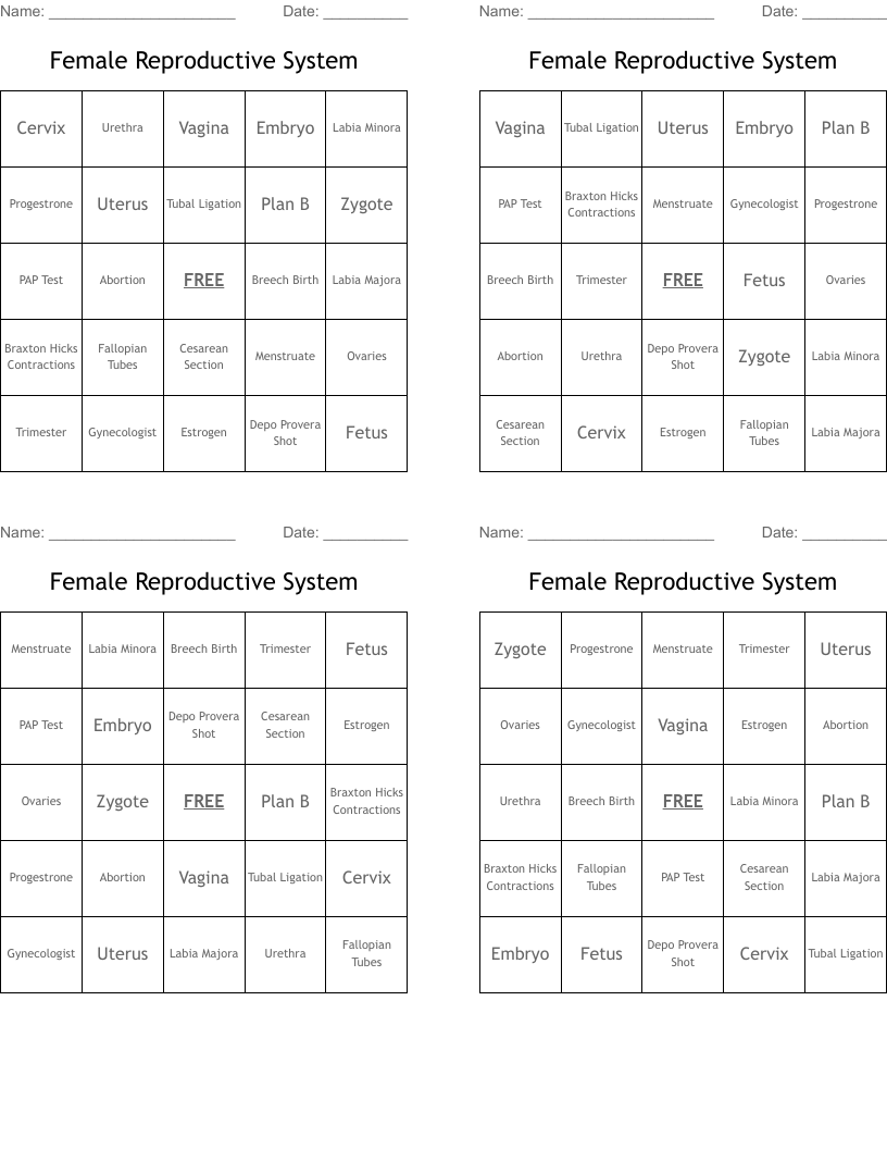 Female Reproductive System Bingo Cards