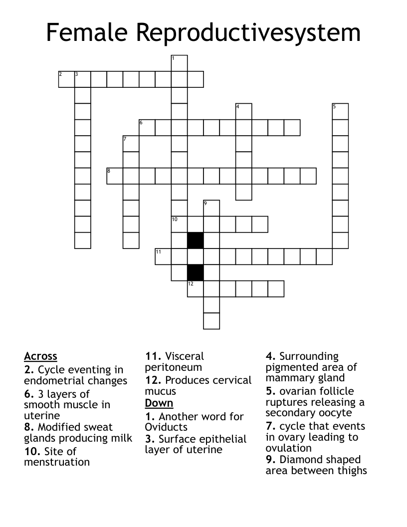 Female Reproductivesystem  Crossword
