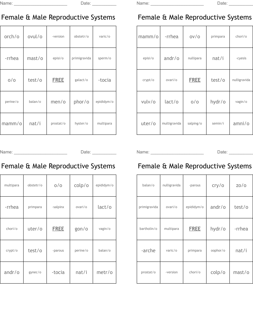 Female & Male Reproductive Systems Bingo Cards