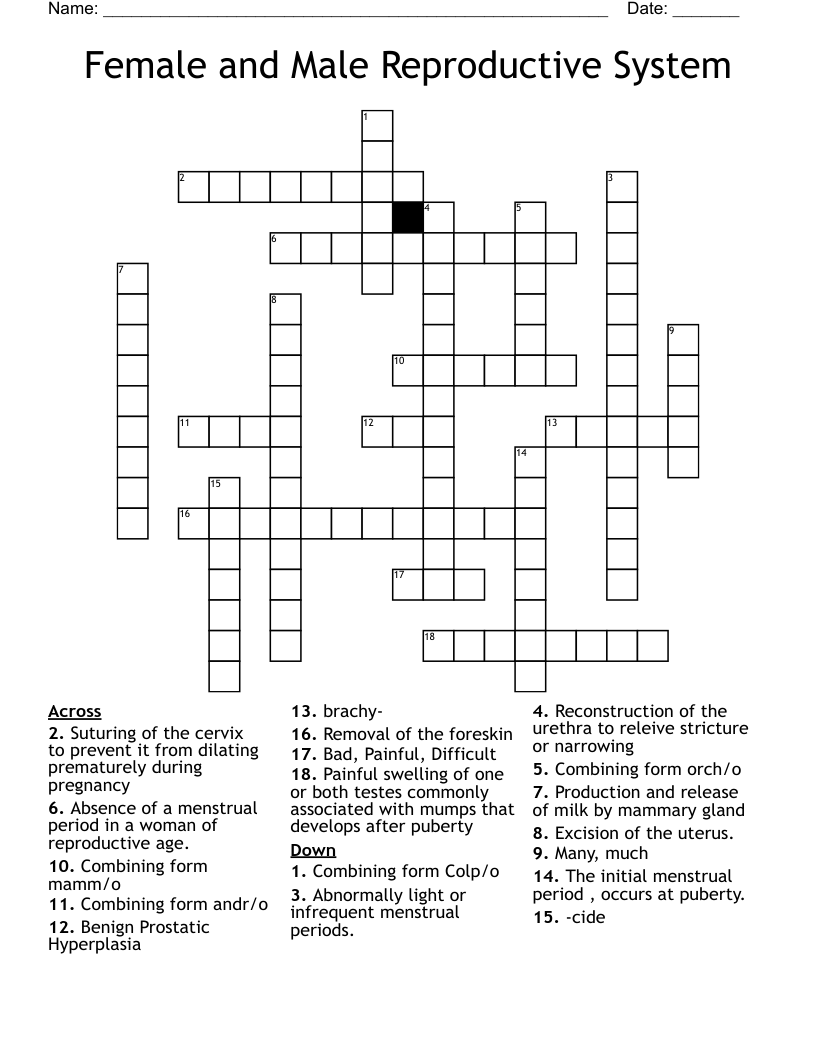 Female and Male Reproductive System Crossword
