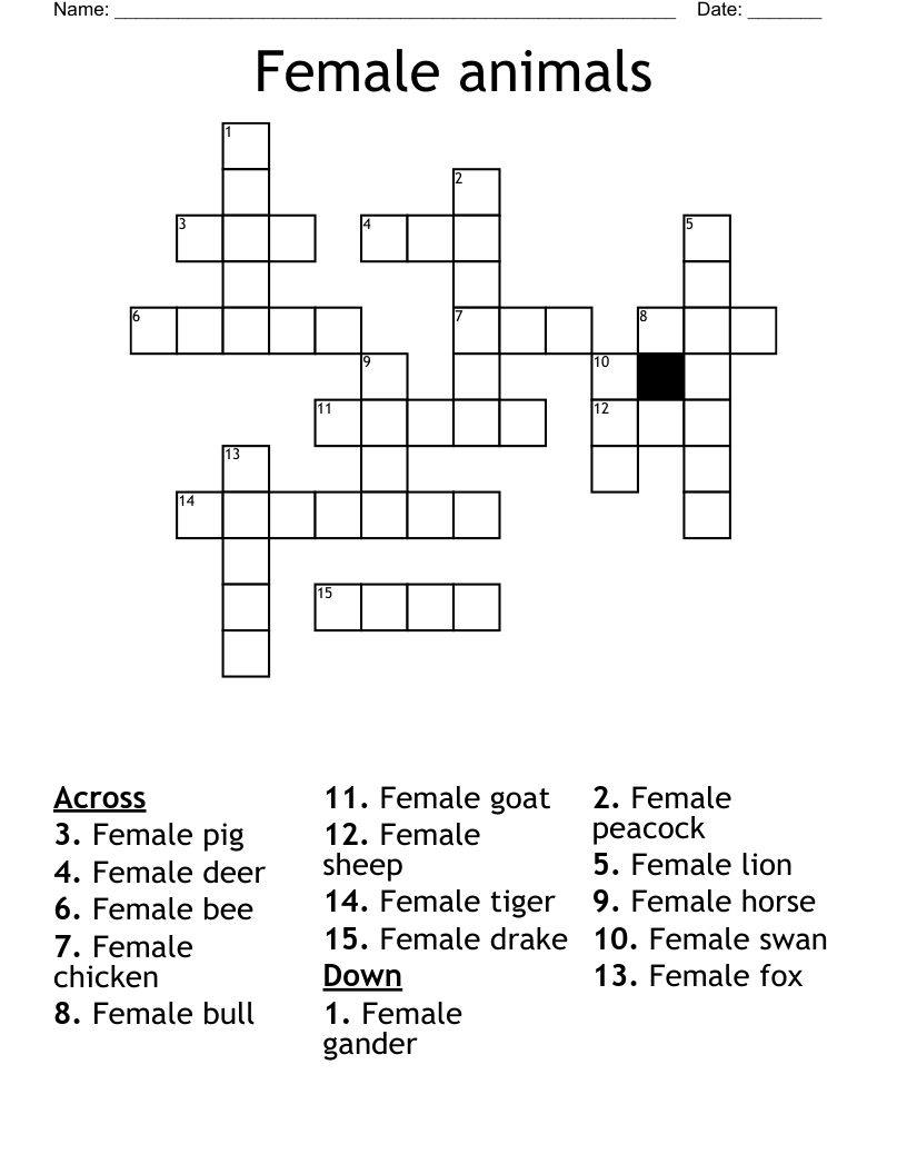 Female animals Crossword