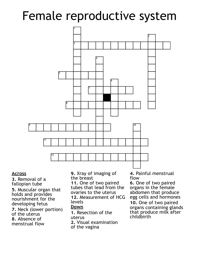Female reproductive system  Crossword