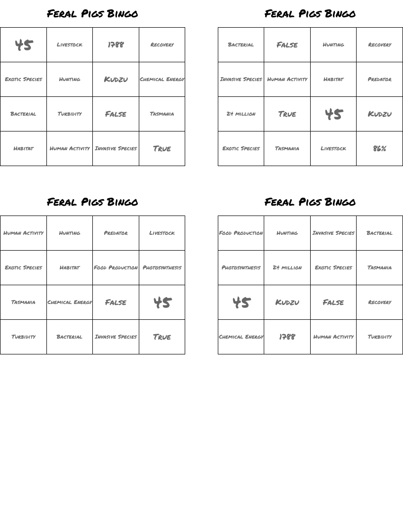 Feral Pigs Bingo