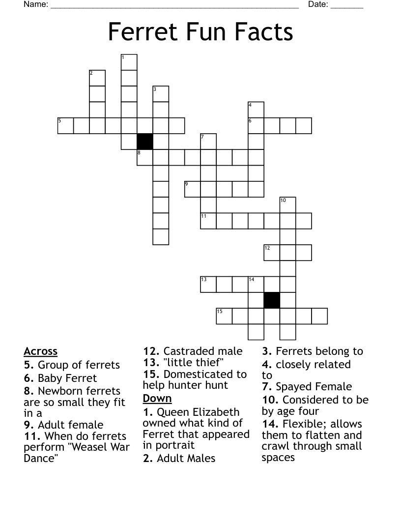 Ferret Fun Facts Crossword