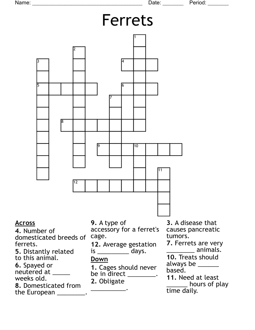 Ferrets Crossword