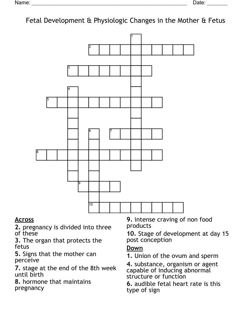Fetal Development & Physiologic Changes in the Mother & Fetus Crossword