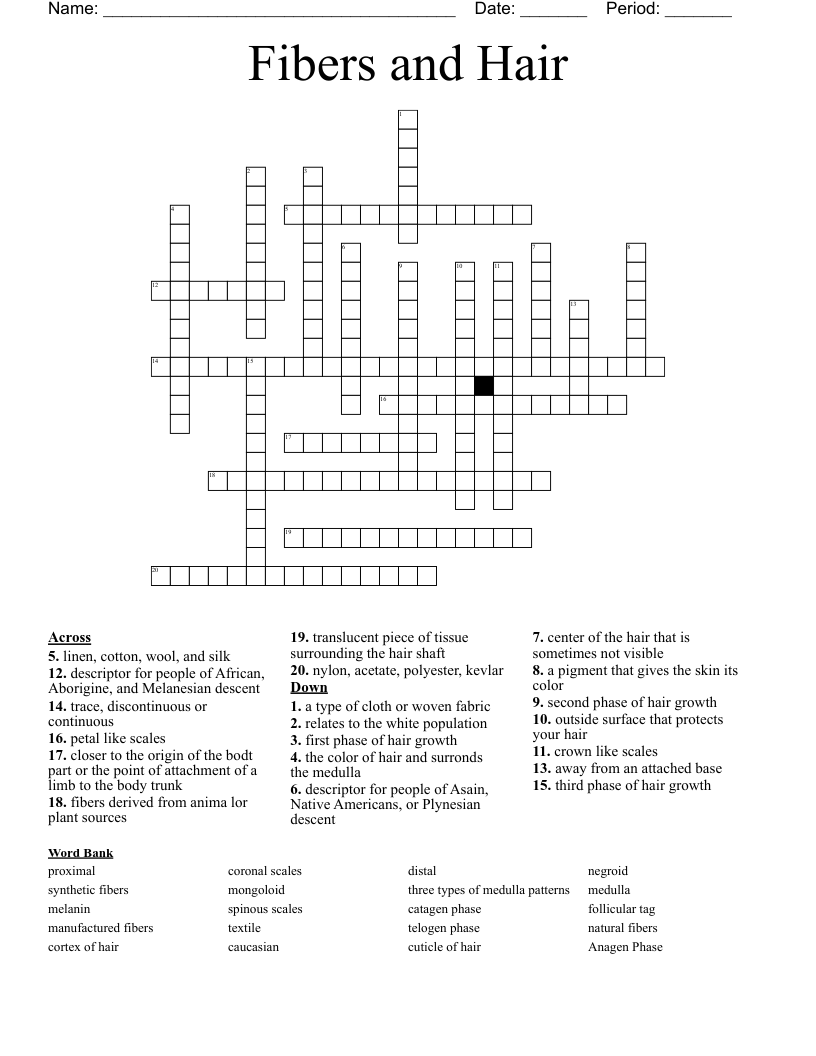 Fibers and Hair Crossword