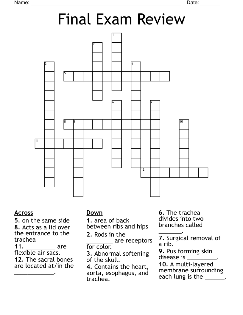 Final Exam Review Crossword