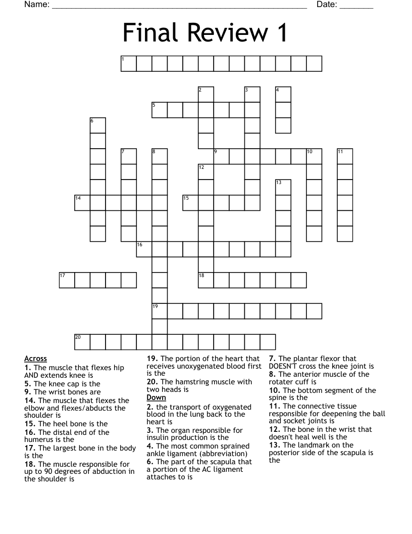 Final Review 1 Crossword