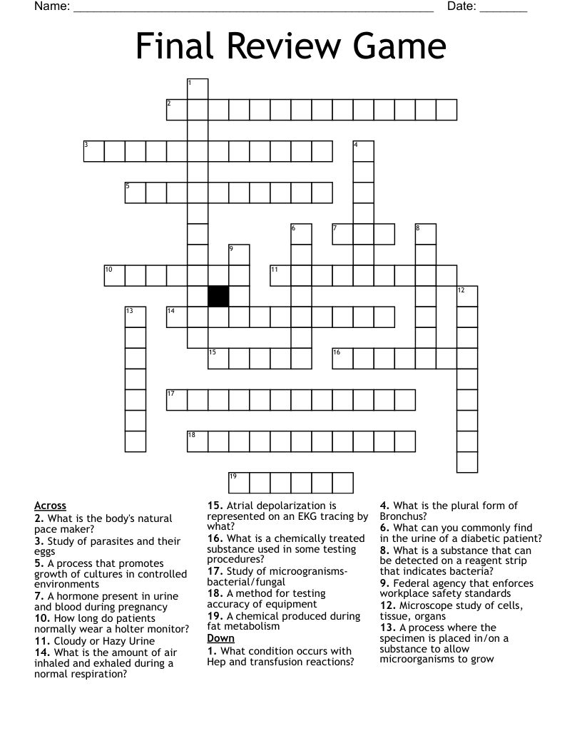 Final Review Game Crossword