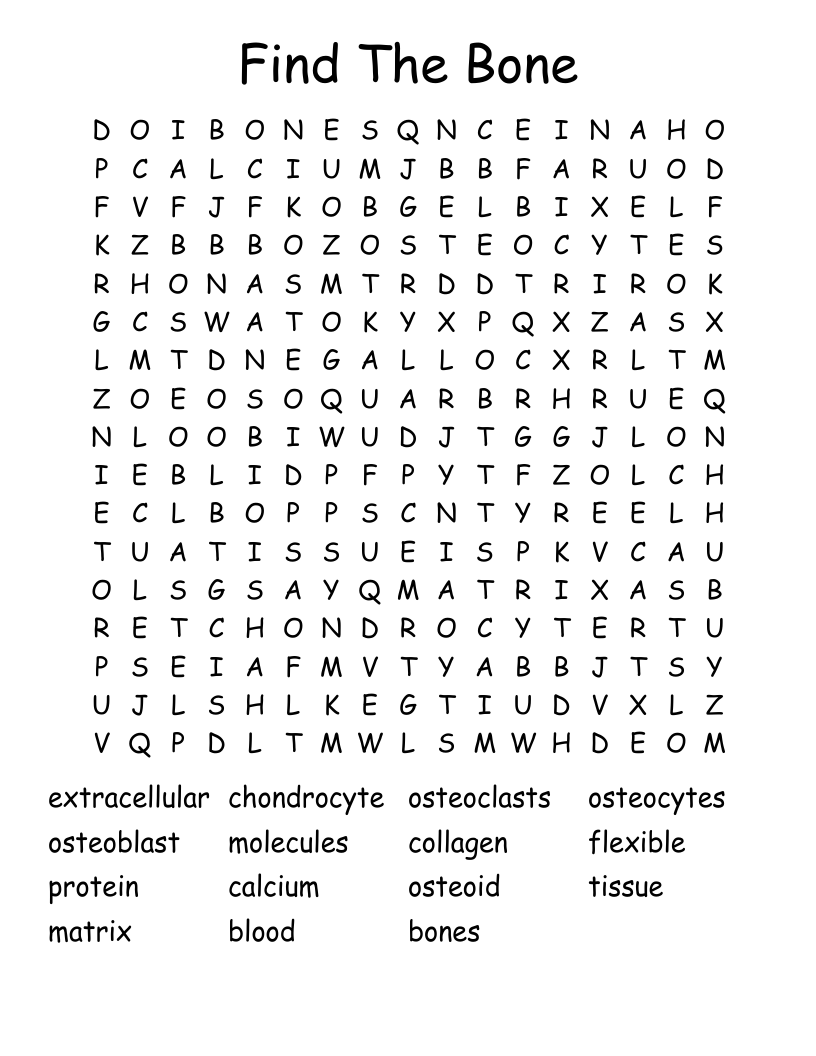 Find The Bone  Word Search