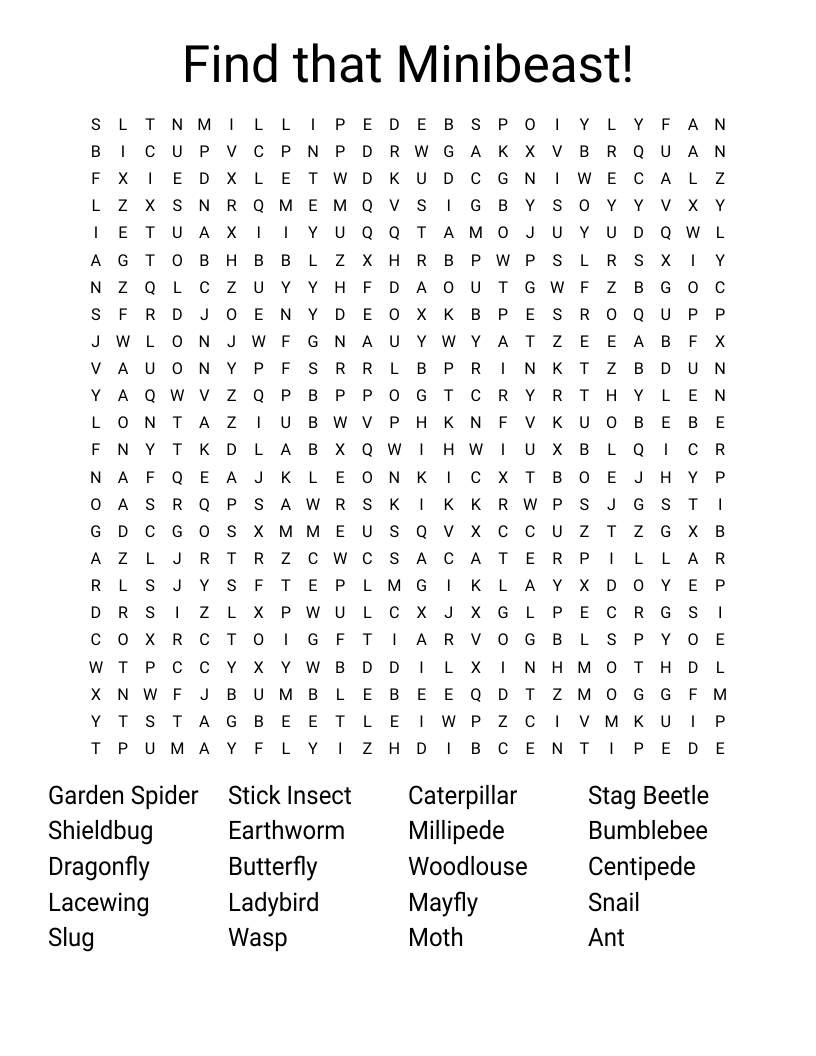 Find that Minibeast! Word Search