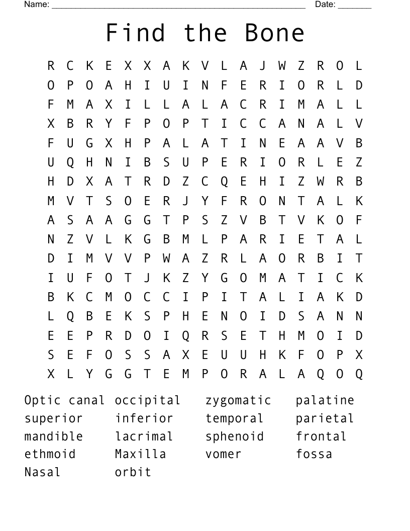 Find the Bone Word Search