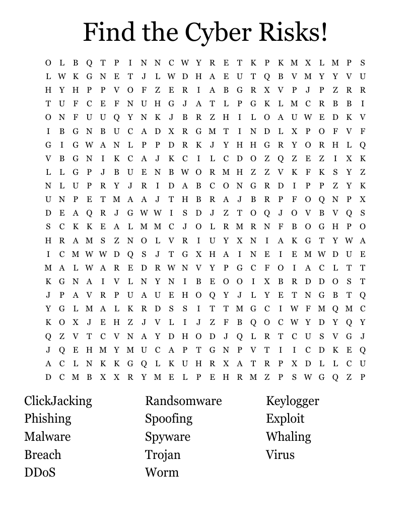 Find the Cyber Risks! Word Search