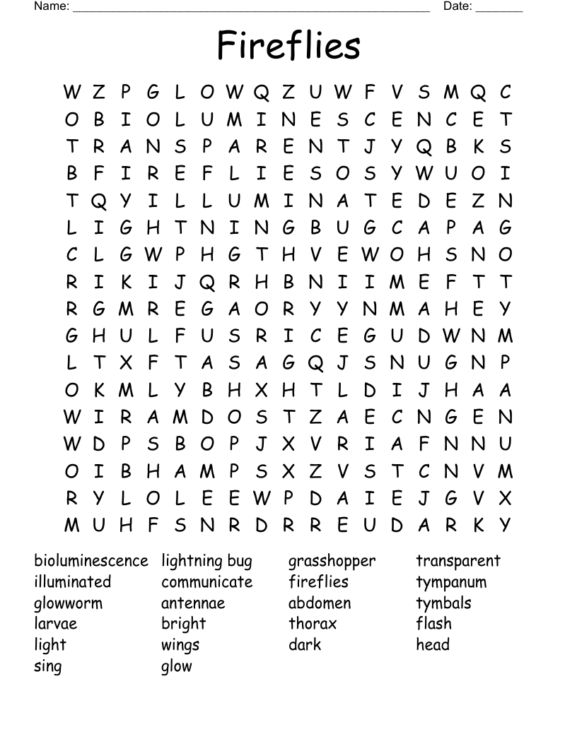 Fireflies Word Search