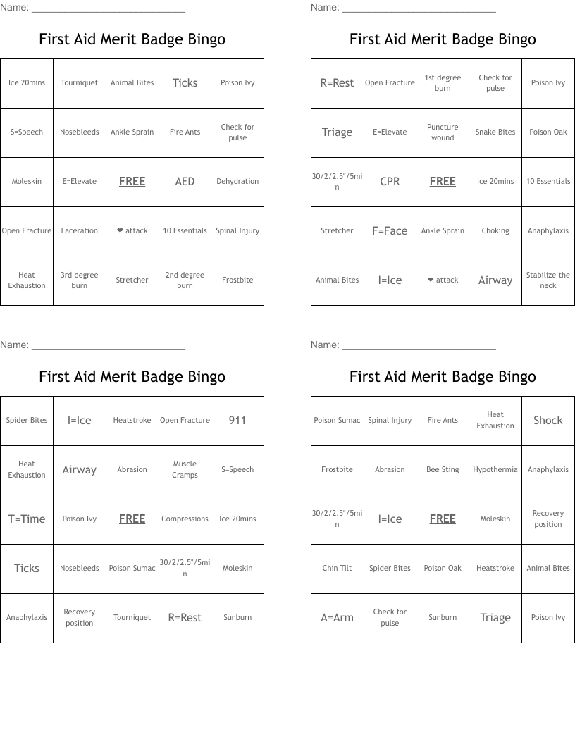 First Aid Merit Badge Bingo