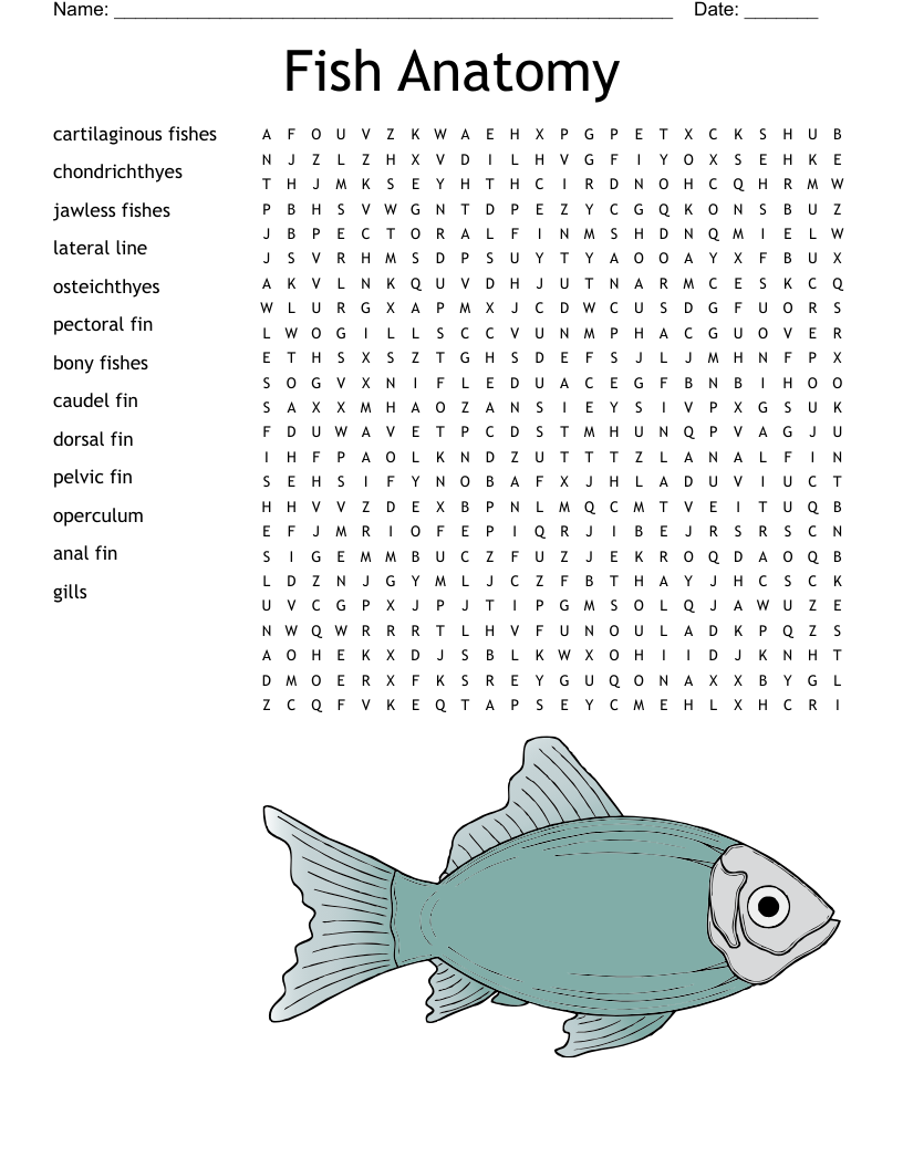Fish Anatomy Word Search