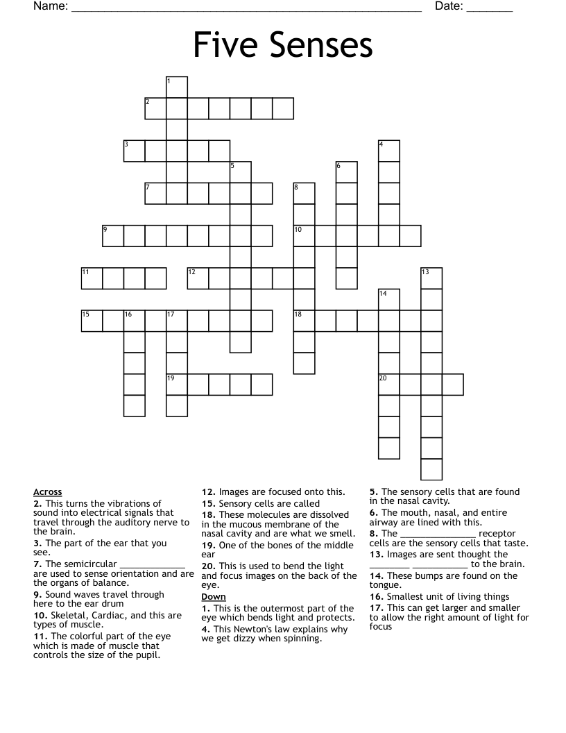 Five Senses Crossword