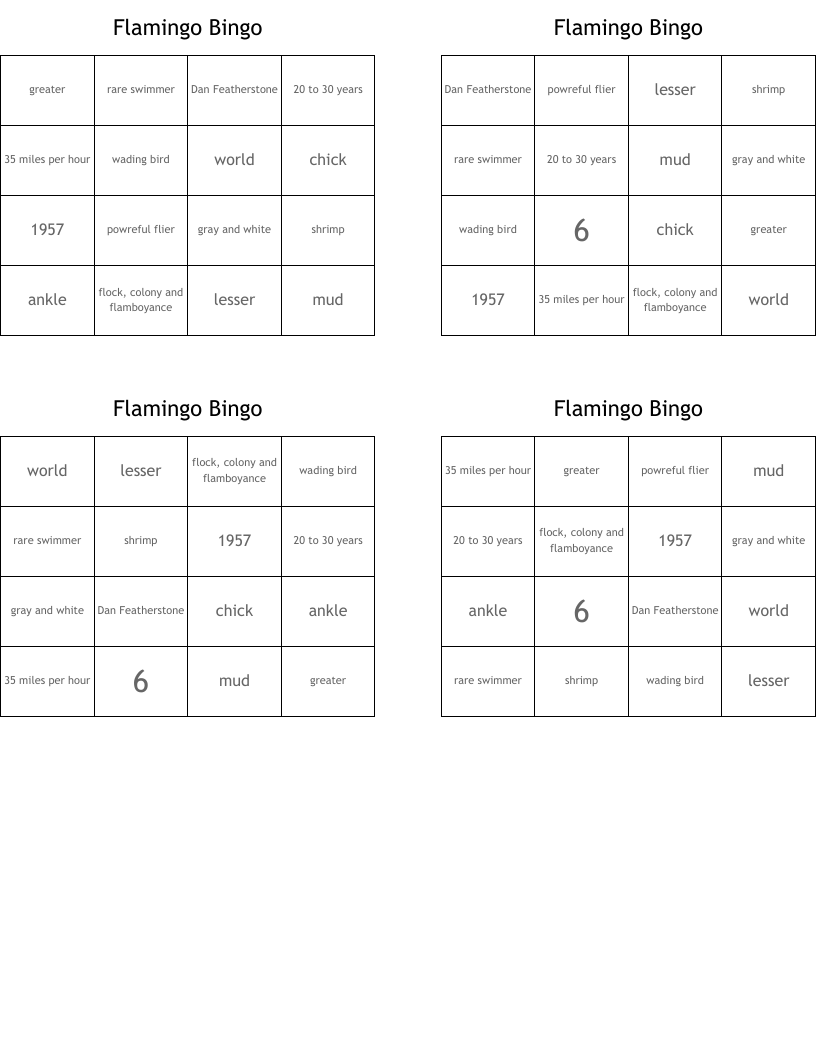 Flamingo Bingo